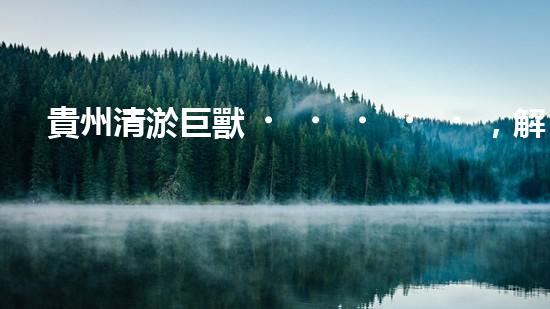 貴州清淤巨獸，解放河道疑團(tuán)！